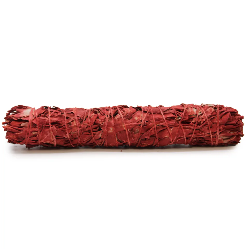 Sauge sang-de-dragon : 22,5 cm