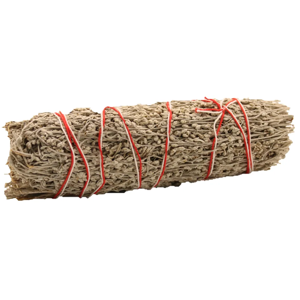 Sauge noire (bâton à brûler) : 22,5 cm