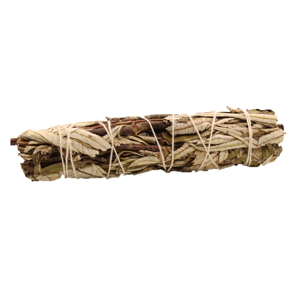 Sauge noire (bâton à brûler) : 15 cm