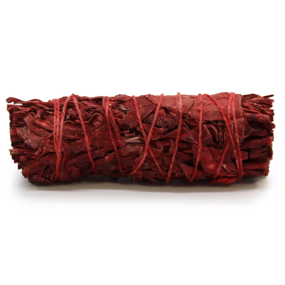 Sauge sang-de-dragon : 10 cm
