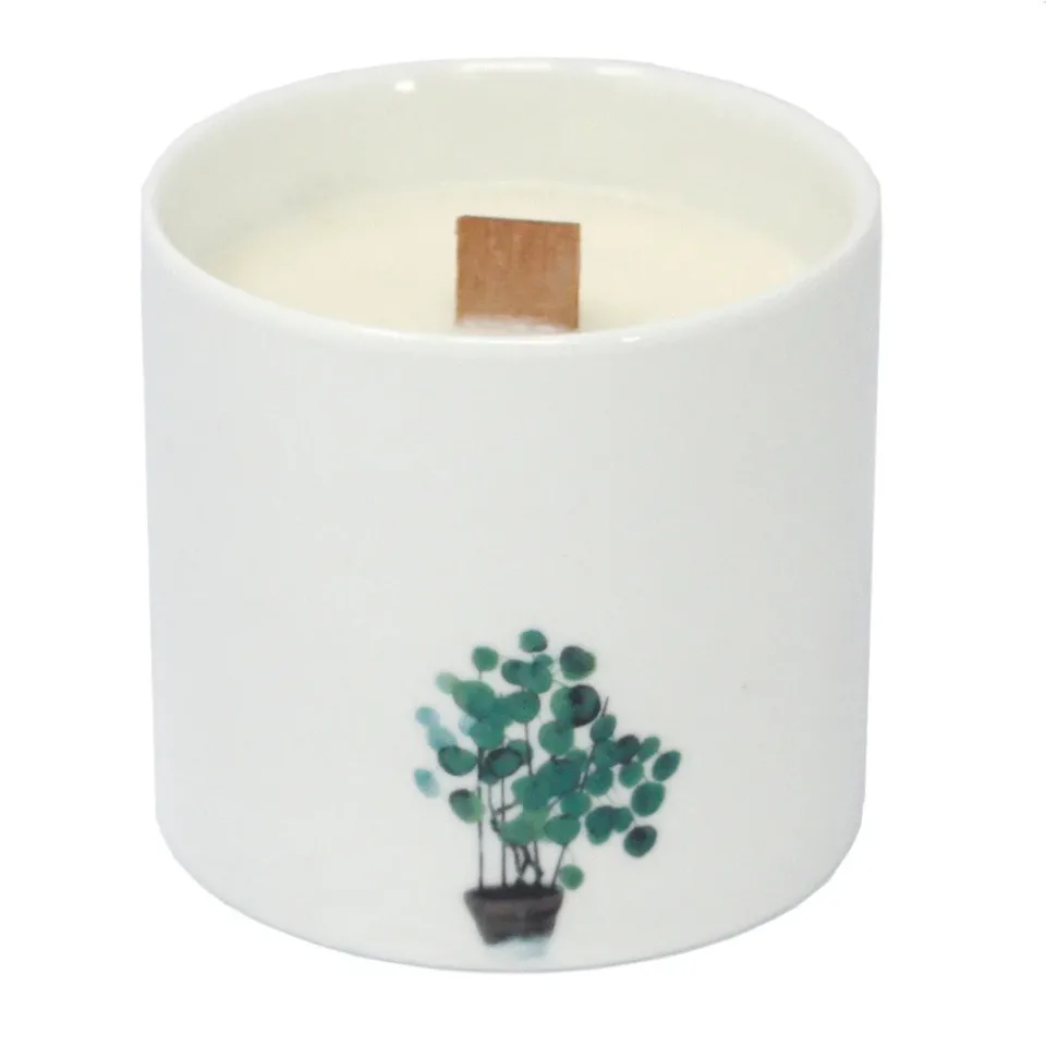 Grandes bougies botaniques en pot : Violette des marais