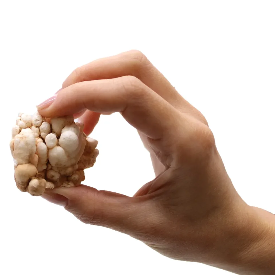 Calcite fleur (environ 20 pièces) : Modèle unique