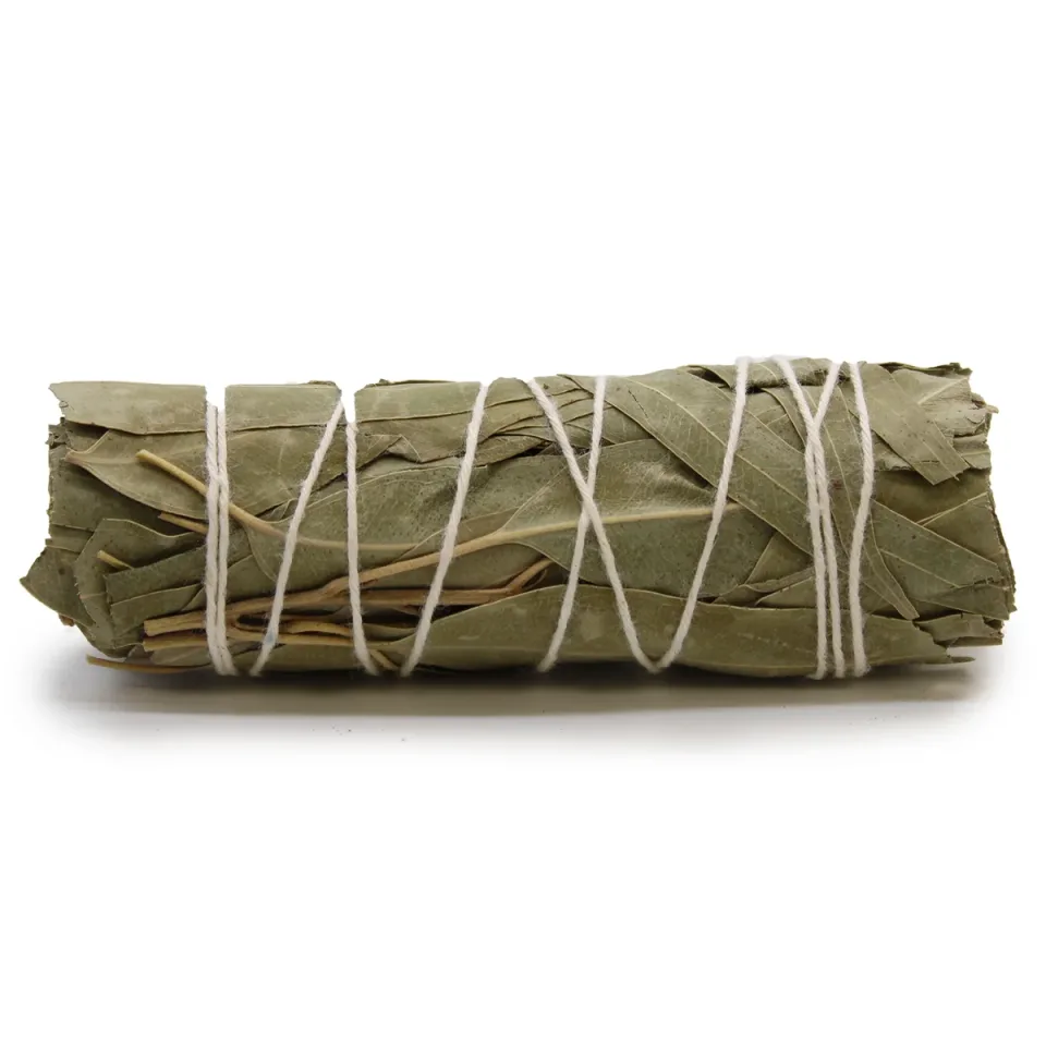 Sauge blanche et eucalyptus : Modèle unique