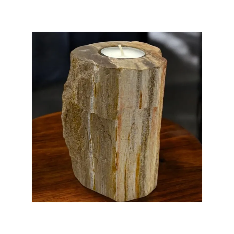 Bougeoir en bois pétrifié, Simple haut : Modèle unique