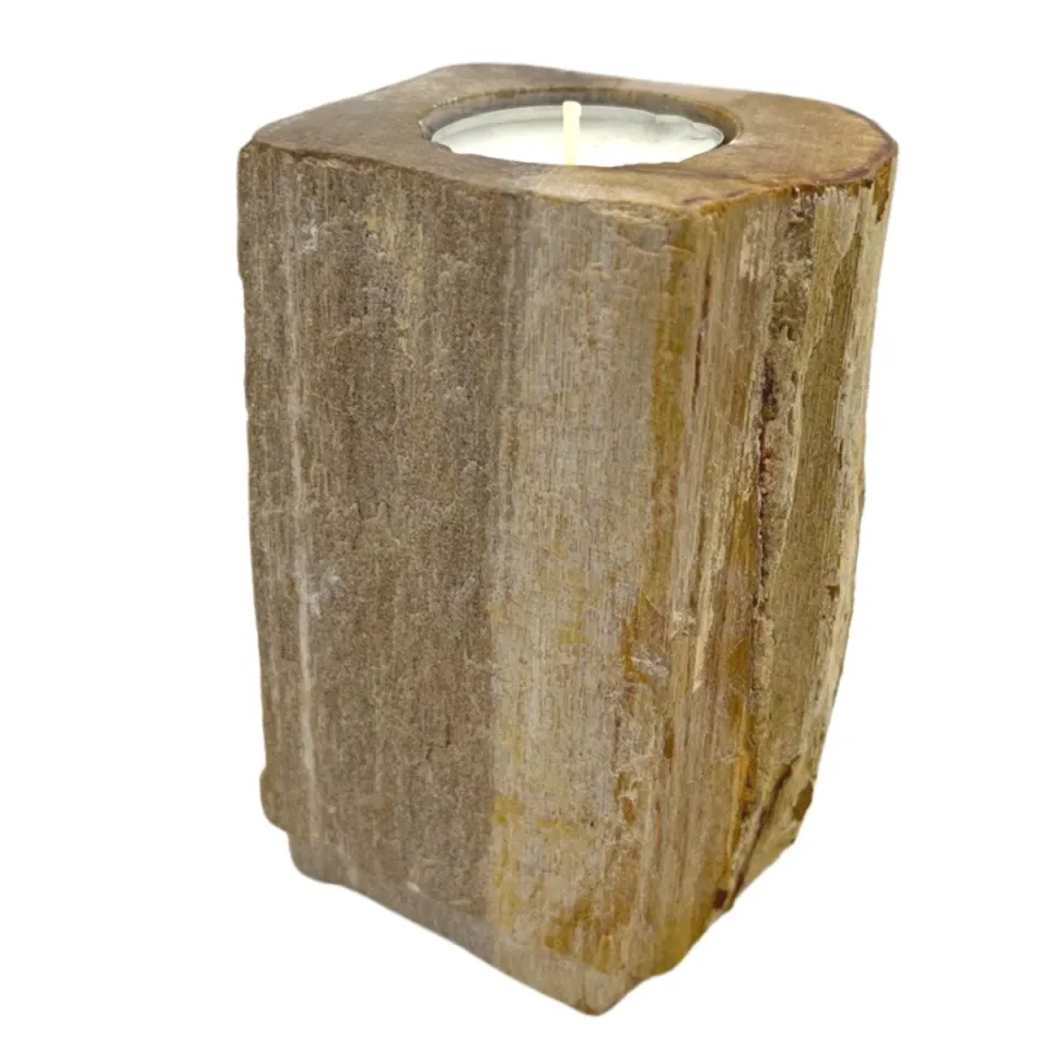 Bougeoir en bois pétrifié, Simple haut : Modèle unique