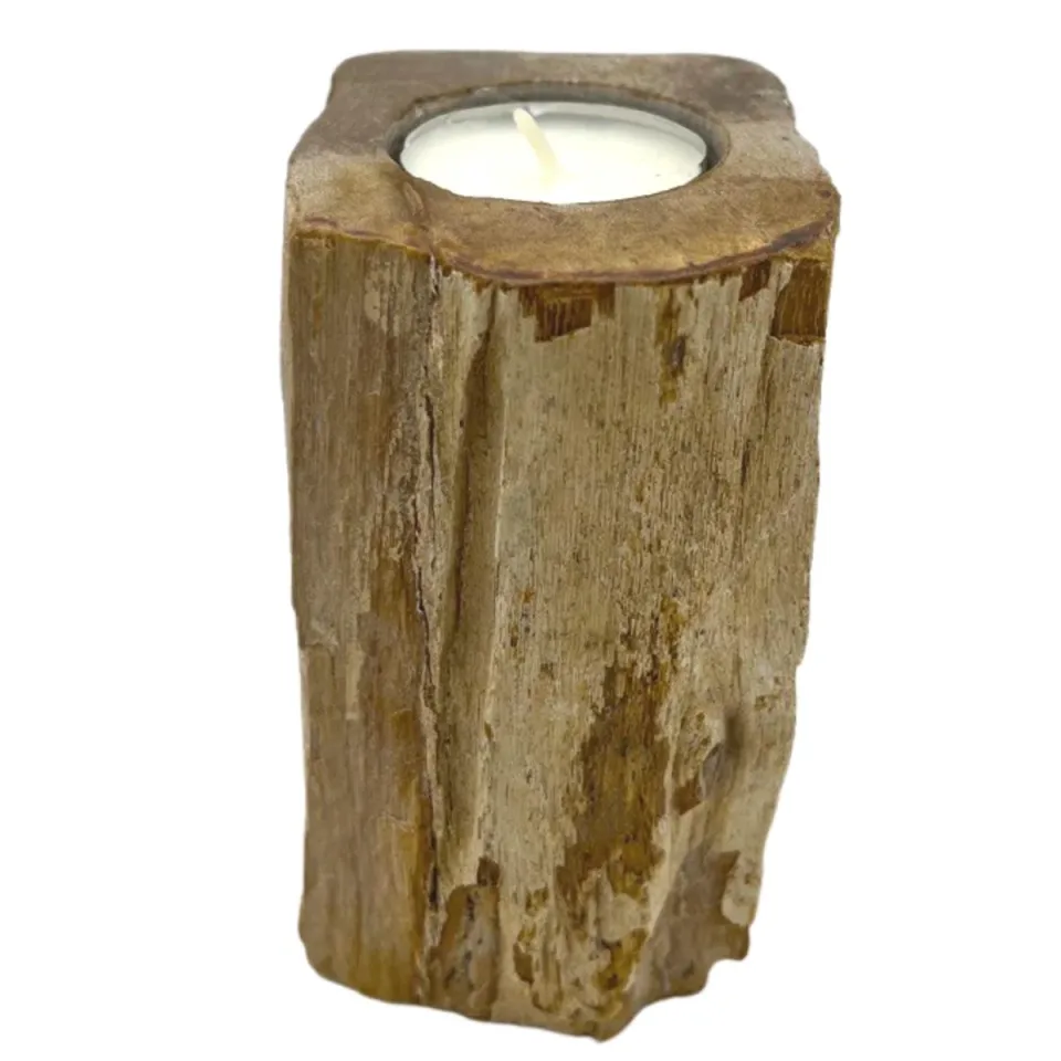 Bougeoir en bois pétrifié, Simple haut : Modèle unique