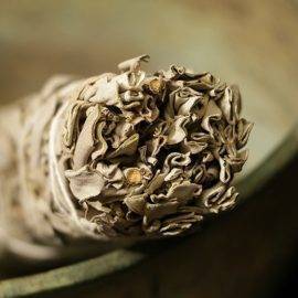 Sauge blanche à brûler – Bâton de fumigation Encens Sauge Porte encens Encens