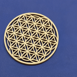 Lot de Dix Fleurs de Vie Rondes en Bois