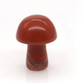 Coffret Pierre Naturelle en Forme de Champignon de Quatorze Pièces