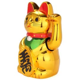 Chat Chinois Doré avec Collier
