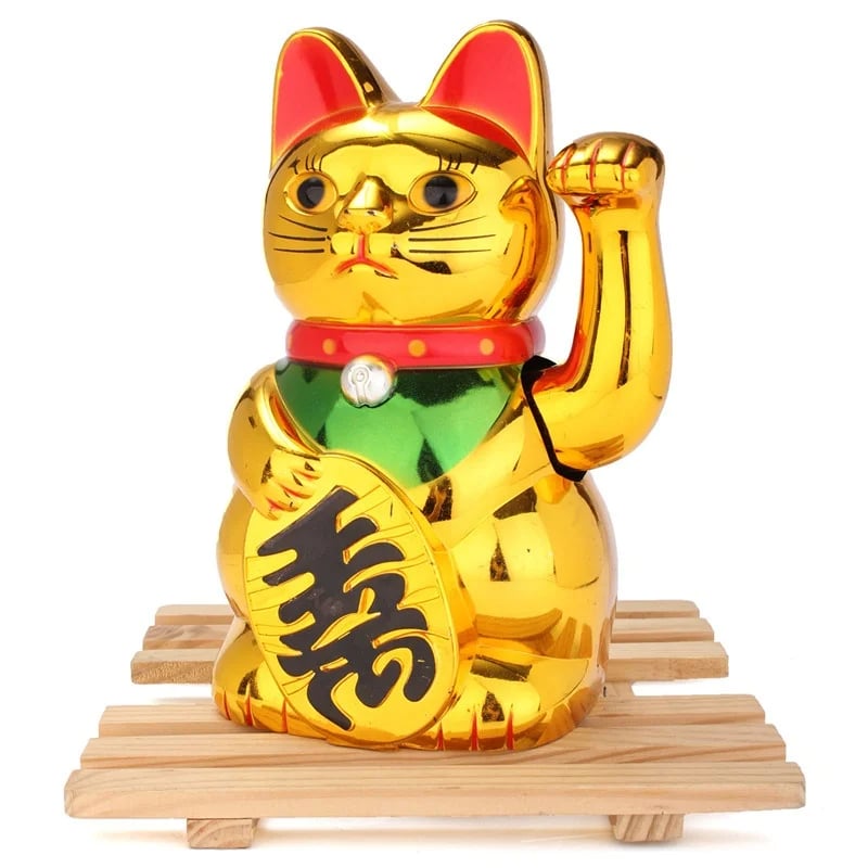 Chat Chinois Doré avec Collier