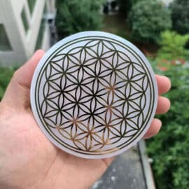 Fleur de Vie Recharge Pierre Ronde en Sélénite dans la main d'une personne sur fond d'herbe