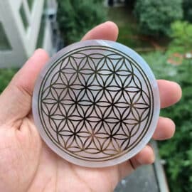 Fleur de Vie Recharge Pierre Ronde en Sélénite