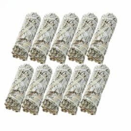 Lot de Dix Batons de Sauge sur fond blanc