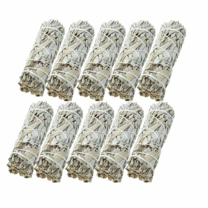 Lot de Dix Batons de Sauge sur fond blanc