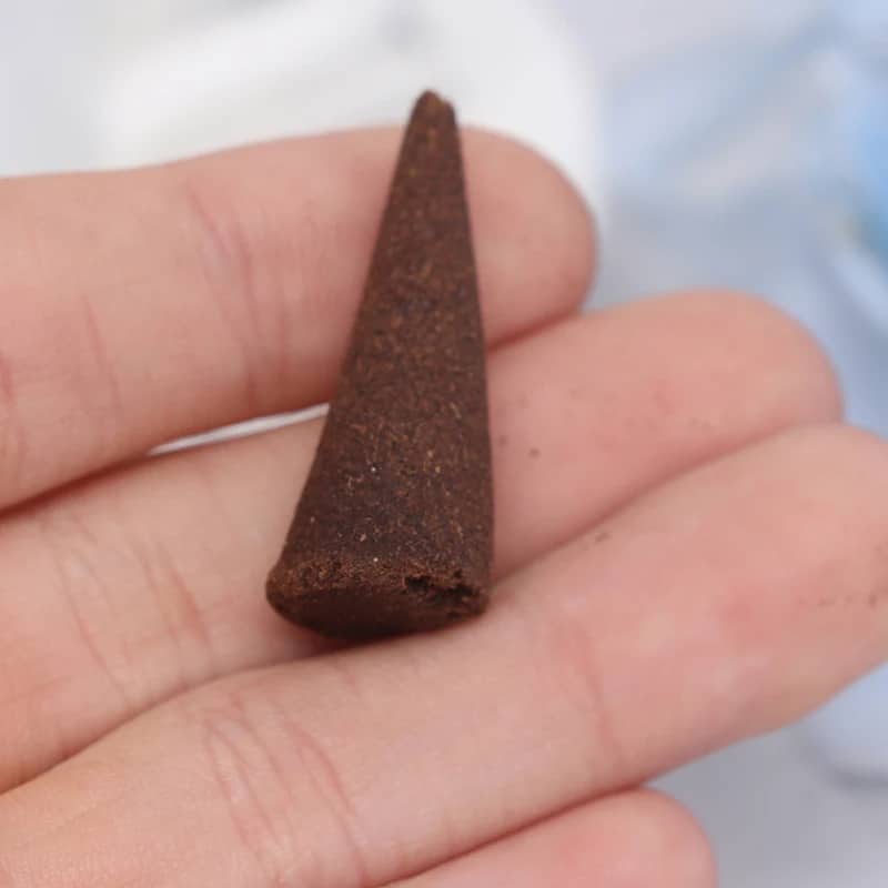 Lot de Dix Sauges Blanches Pointues