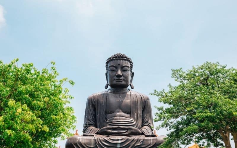 Grande statue de Bouddha dans un jardin communal avec des arbres à côté de lui.